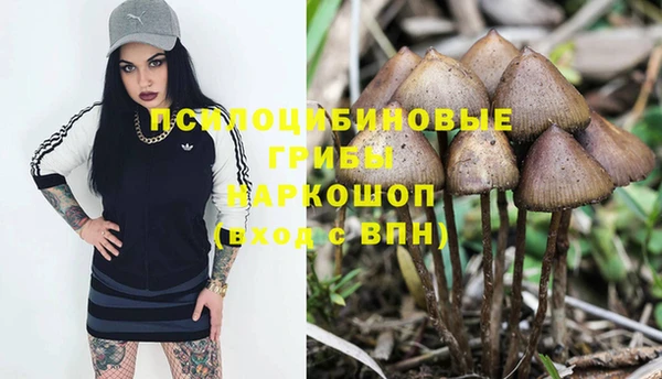 бутират Долгопрудный
