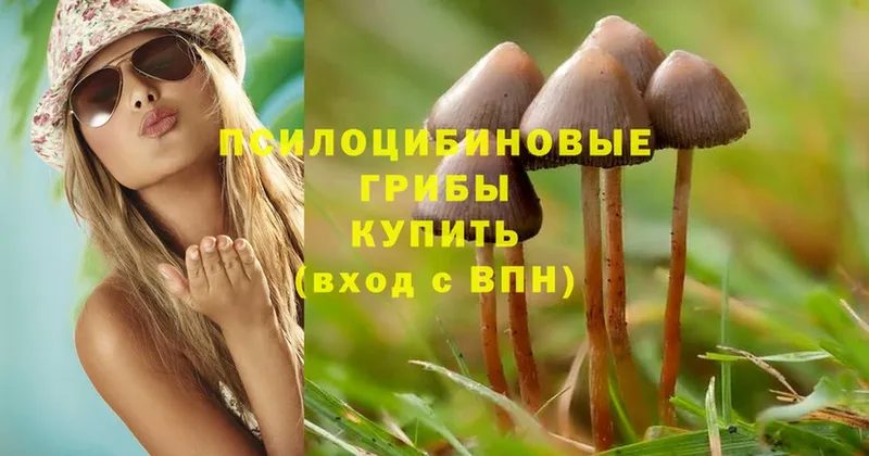 Псилоцибиновые грибы Psilocybine cubensis  это официальный сайт  Агидель 